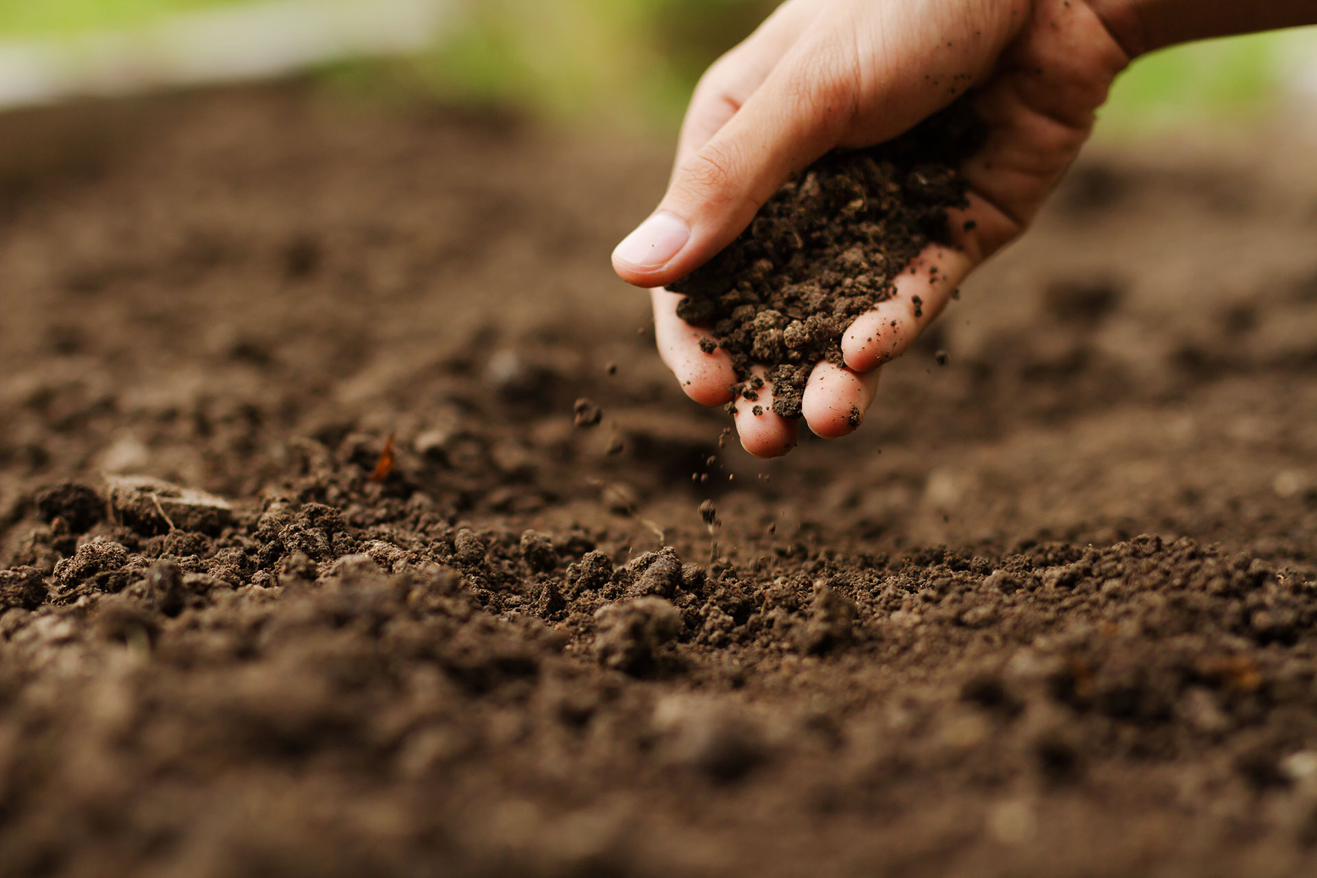 Hand touching soil in a field
